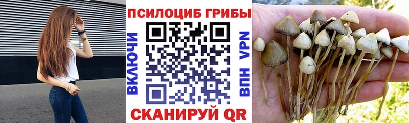 Псилоцибиновые грибы мухоморы  Ряжск 