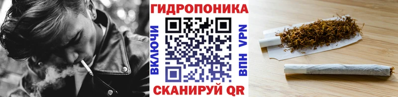Марихуана сатива  kraken рабочий сайт  Ряжск  сколько стоит 